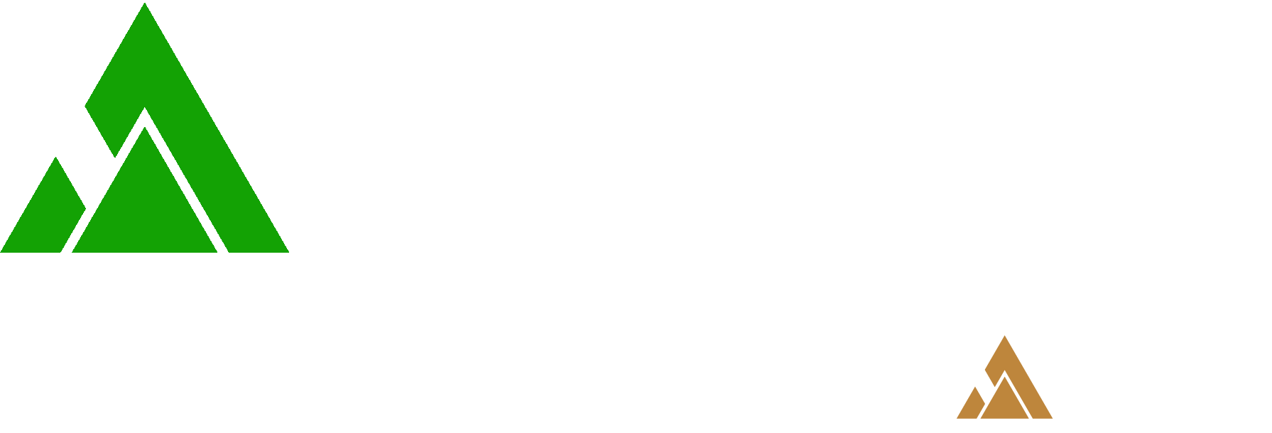 SASA Logo